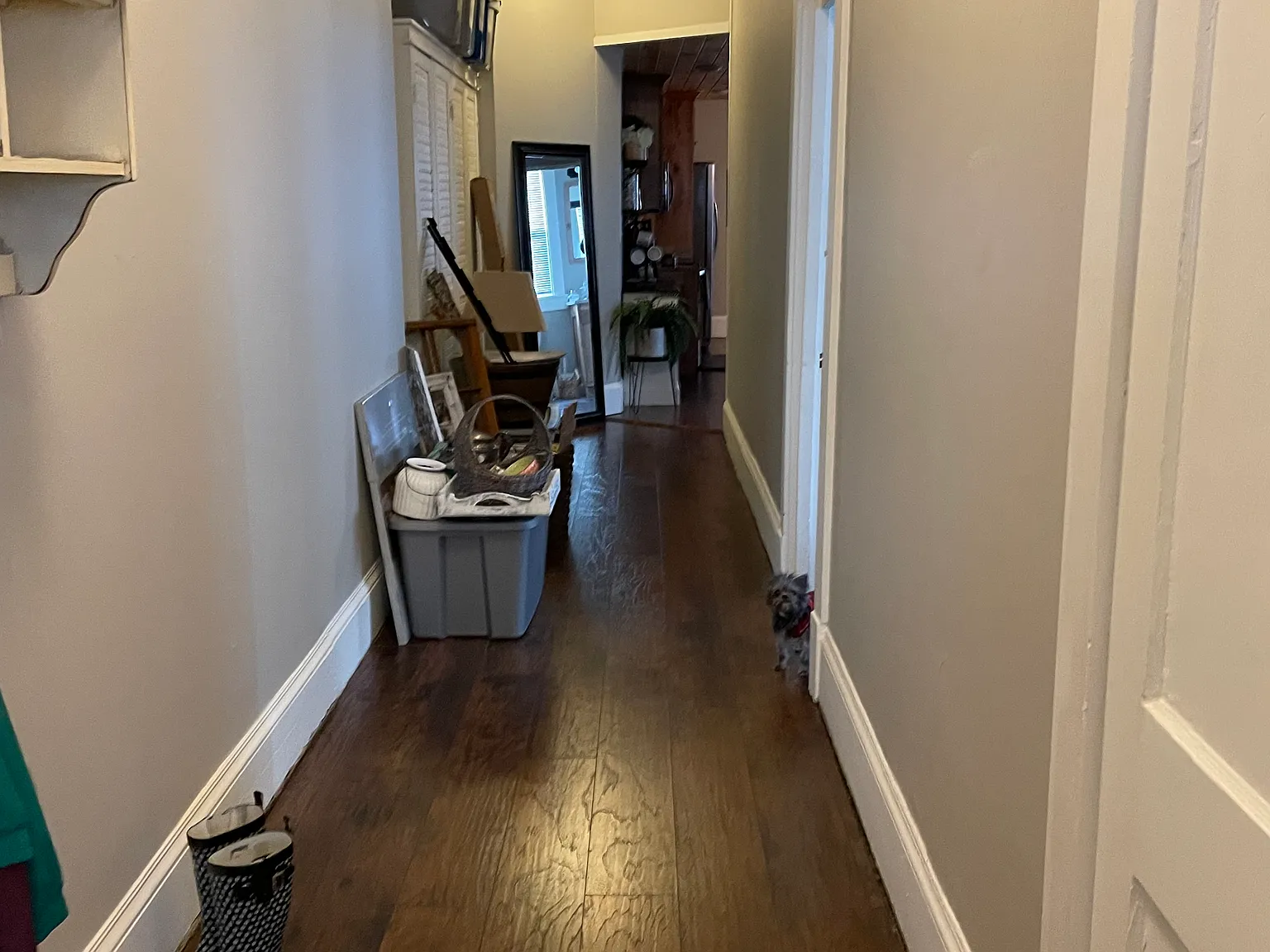 1 bed, 1000 sqft, $1,150 — Photo 4