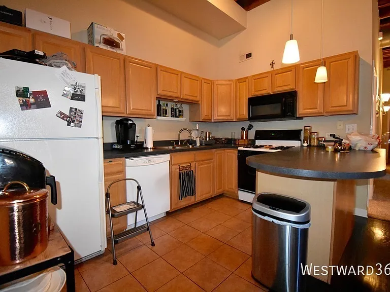 1114 W Hubbard St #1 — Photo 7