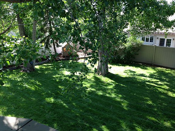 Backyard view from deck