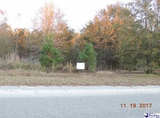 2498 Easy St, Effingham, SC 29541