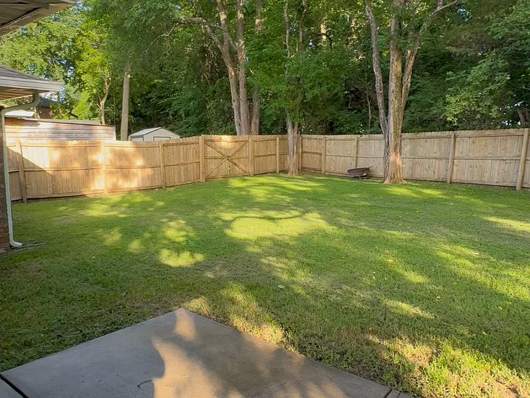 Back yard
