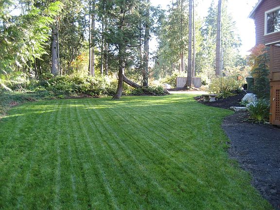 Upper Back Yard