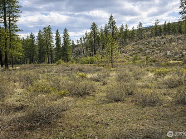 1 N Cook Mt Road, Okanogan, WA 98840