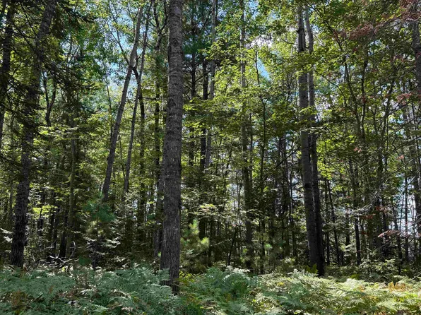 W Gravel Pit Rd, Iron River, WI 54847