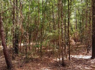 PARCEL Two Wildlife Rd #C, Holt, FL 32564