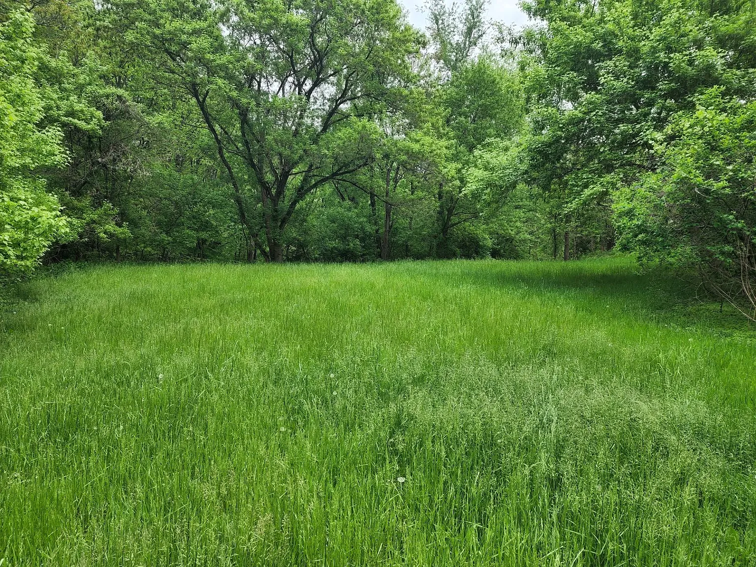 3850 Spring Garden Rd photo 1