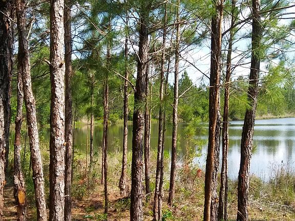 3rd image of 6475 County Road 218