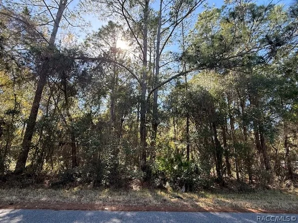 4280 E Nugget Pass Pl, Dunnellon, FL 34434
