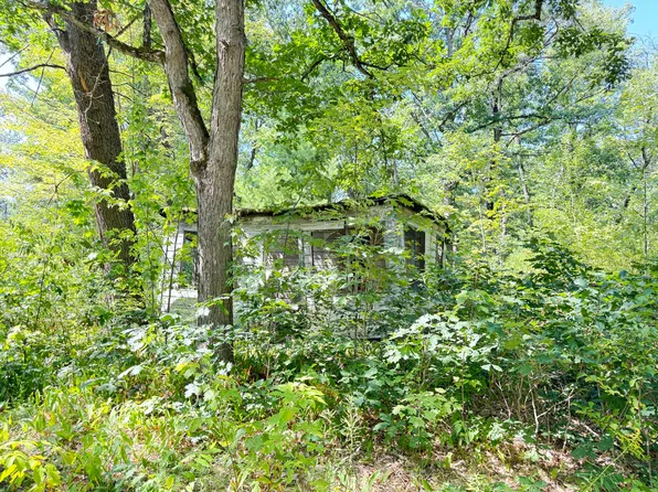 2227 W Oakwood Blvd, Bitely, MI 49309