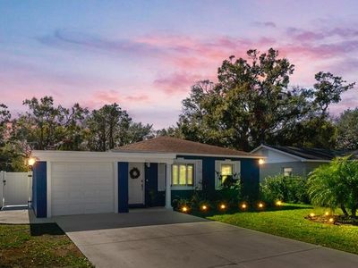 3014 W Helen Ave, Tampa, FL, 33611