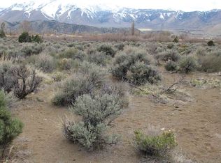 2390 Eastside Ln, Coleville, CA 96107