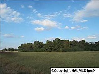 2nd image of 169 Thacker Rd