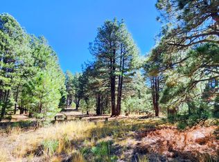 1958 Ferret Cir #260, Forest Lakes, AZ 85931