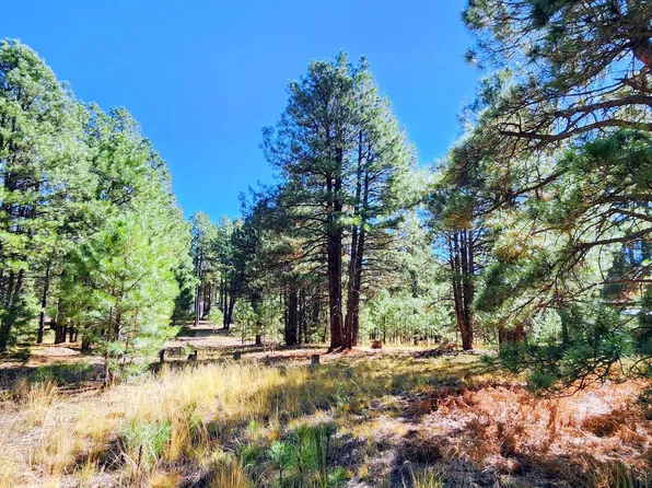 1958 FERRET Circle #260, Forest Lakes, AZ 85931