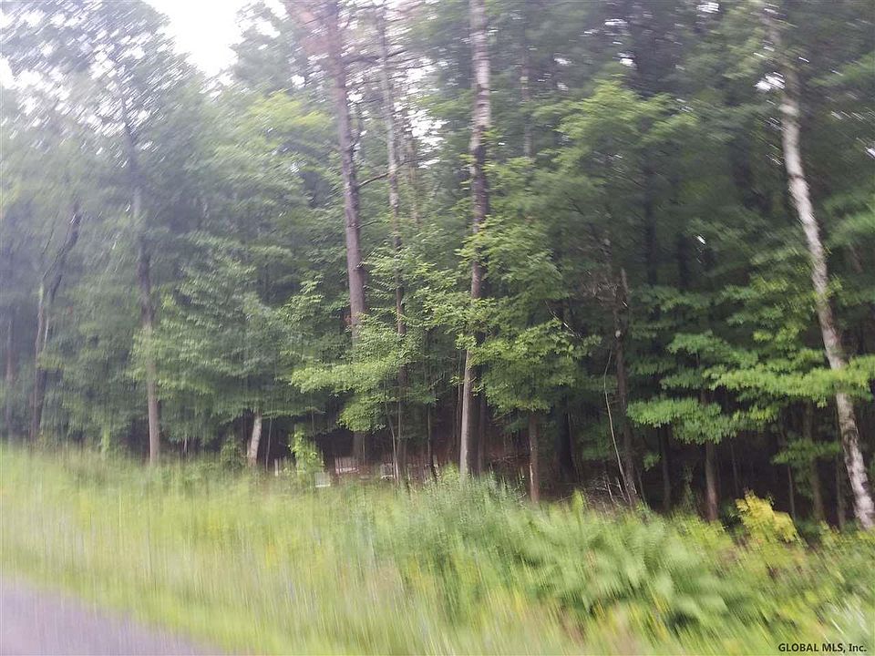 0 County Route 353, Rensselaerville, NY 12147 Zillow