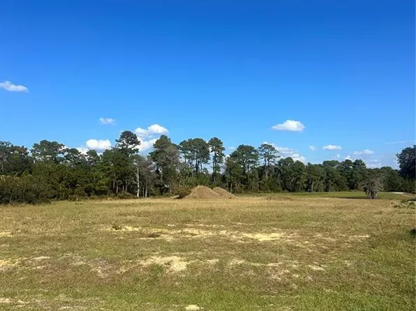 38553 Wooded Meadow Dr Lot 52, Umatilla, FL 32784