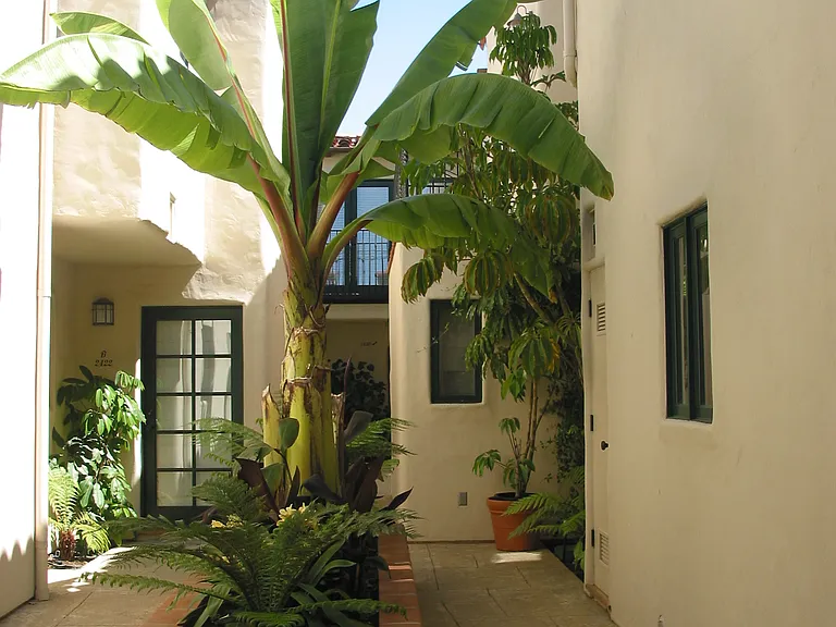 2420 De La Vina St #B — Photo 4