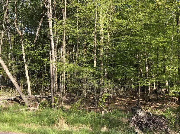 67 Rockway Rd, Lake Ariel, PA 18436