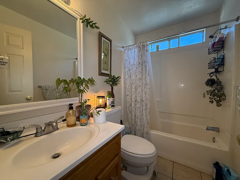 390 Ash St #3 — Photo 8