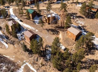 206 Virginia Rd, Bailey, CO 80421