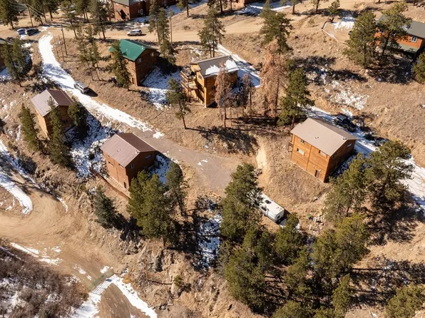 206 Virginia Road, Bailey, CO 80421