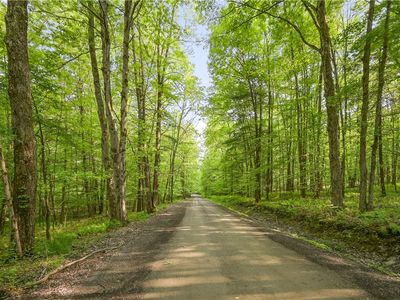 L2222 Mud Rd #22, Otego, NY, 13825