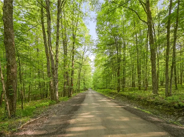 L2222 Mud Rd #22, Otego, NY 13825