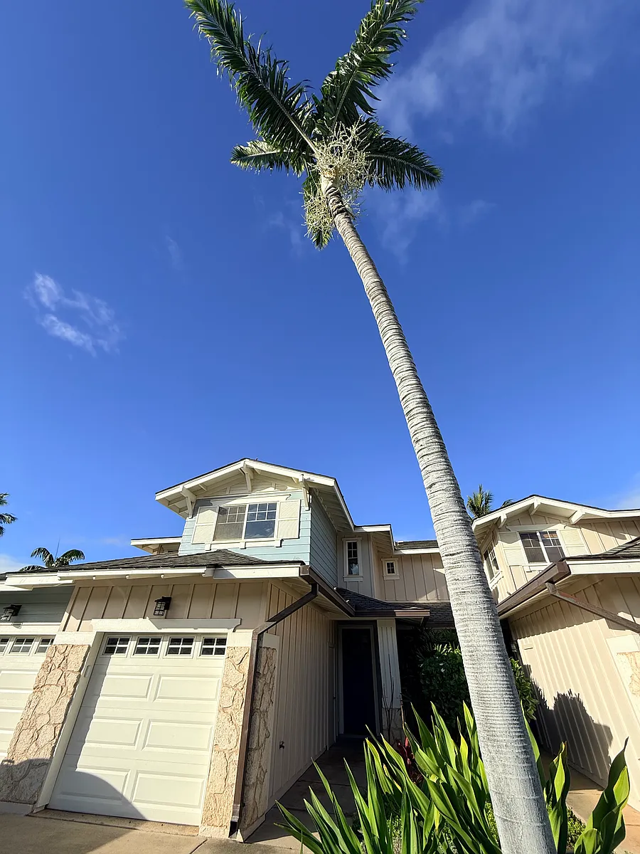 Building Photo - 92-1071 Koio Dr #B
