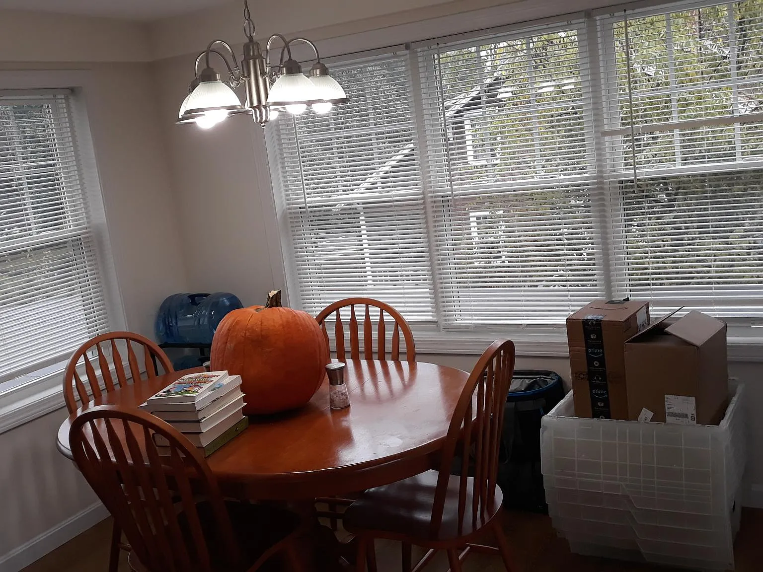 3 bed, 1.5 bath, 1550 sqft, $2,800 — Photo 4