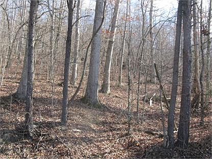 2nd image of 2000 Sweetwater Rd