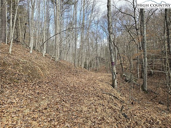 3rd image of TBD (Lots 42 & 43) Happy Ridge Road