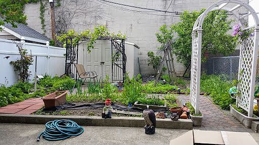 5th image of 3606 24th St