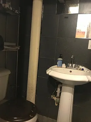 Rented by Simply Brooklyn Realty Inc | media 4