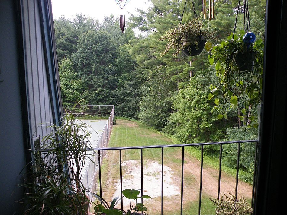 view from living room