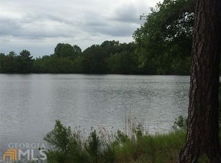 2106 Chalybeate Rd, Manchester, GA 31816