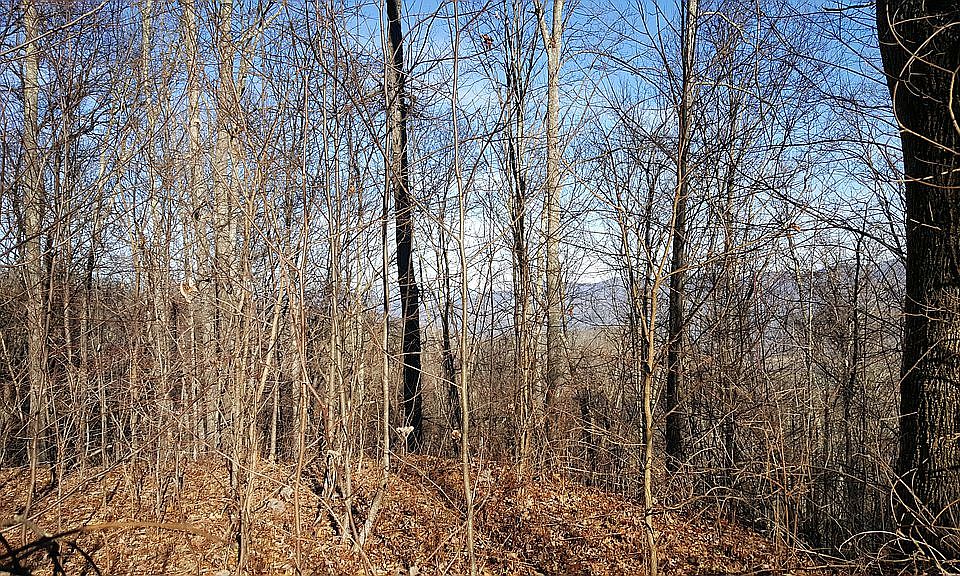 6 ACRES $300 P/MT $4k DOWN