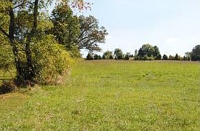 2nd image of 226 Tate Rd