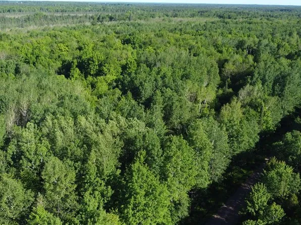 7295 West Dover Rd, Phillips, WI 54555