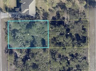 2004 Grayson Ave, Alva, FL 33920