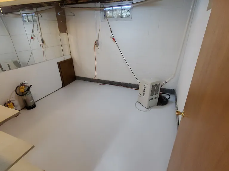 Basement - rec room / storage room.