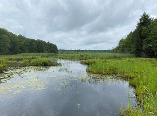 Fisherman S Bridge Rd #18, Williamstown, NY 13493