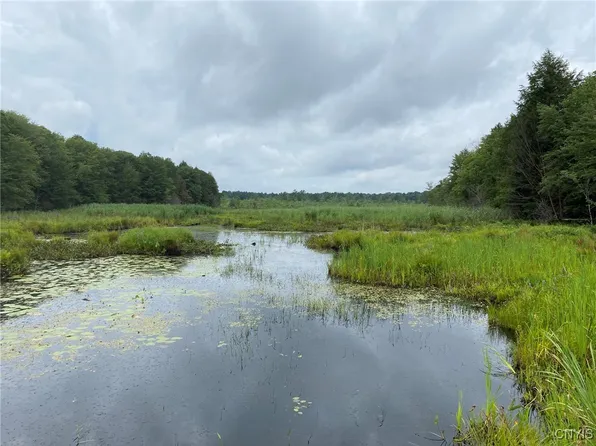 Fisherman S Bridge Rd #18, Williamstown, NY 13493