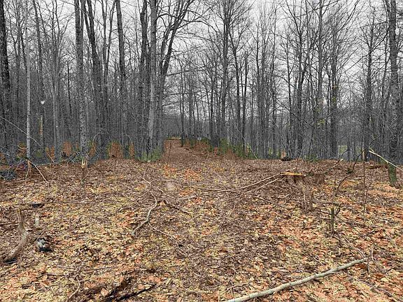 2nd image of Forrester Road