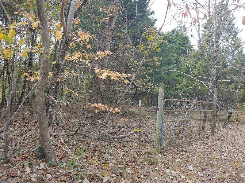 2nd image of 0 Little Marrowbone Rd