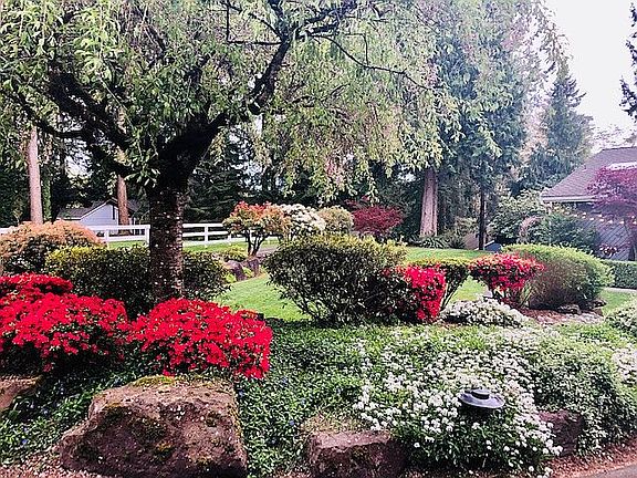 Front yard
