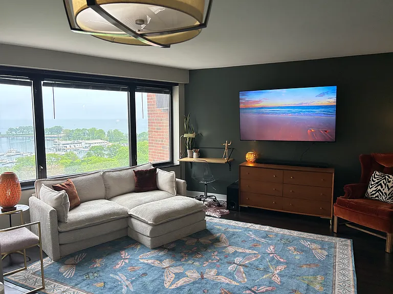 3100 N Lake Shore Dr #1212 — Photo 3