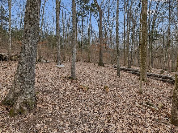 2nd image of 3726 Benders Ferry Rd