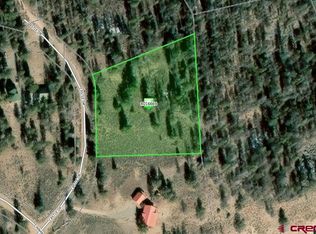 112 Castle Dr, Powderhorn, CO 81243