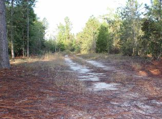 461 Northcutt Rd, Pelion, SC 29123