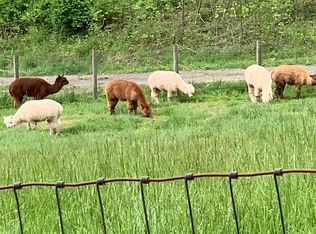3406 Green Cove Rd, Brasstown, NC 28902